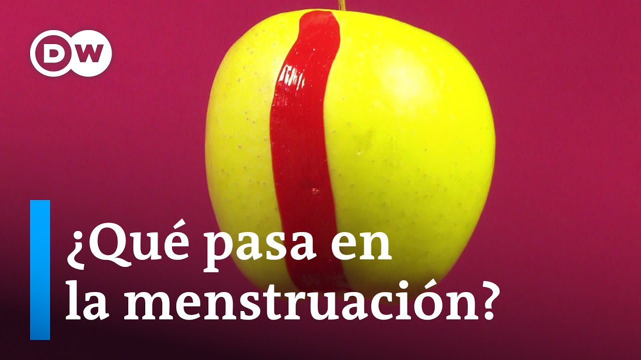 La-conexion-entre-el-ejercicio-y-la-salud-menstrual | SoloSalud.net La conexión entre el ejercicio y la salud menstrual