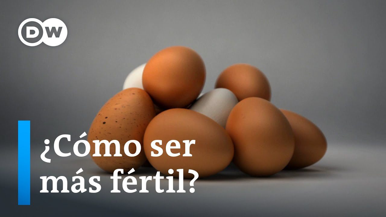 Nutrientes-esenciales-para-mujeres-en-edad-fertil | SoloSalud.net Nutrientes esenciales para mujeres en edad fértil