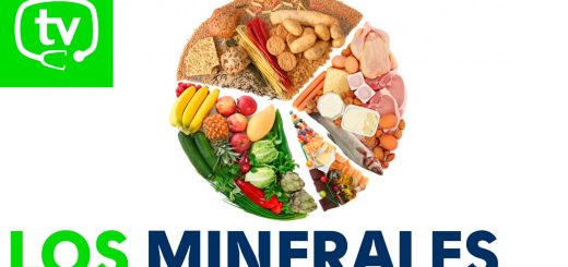 La-importancia-de-los-minerales-en-la-alimentacion | SoloSalud.net La importancia de los minerales en la alimentación