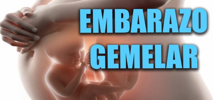 Todo sobre el seguimiento del embarazo múltiple