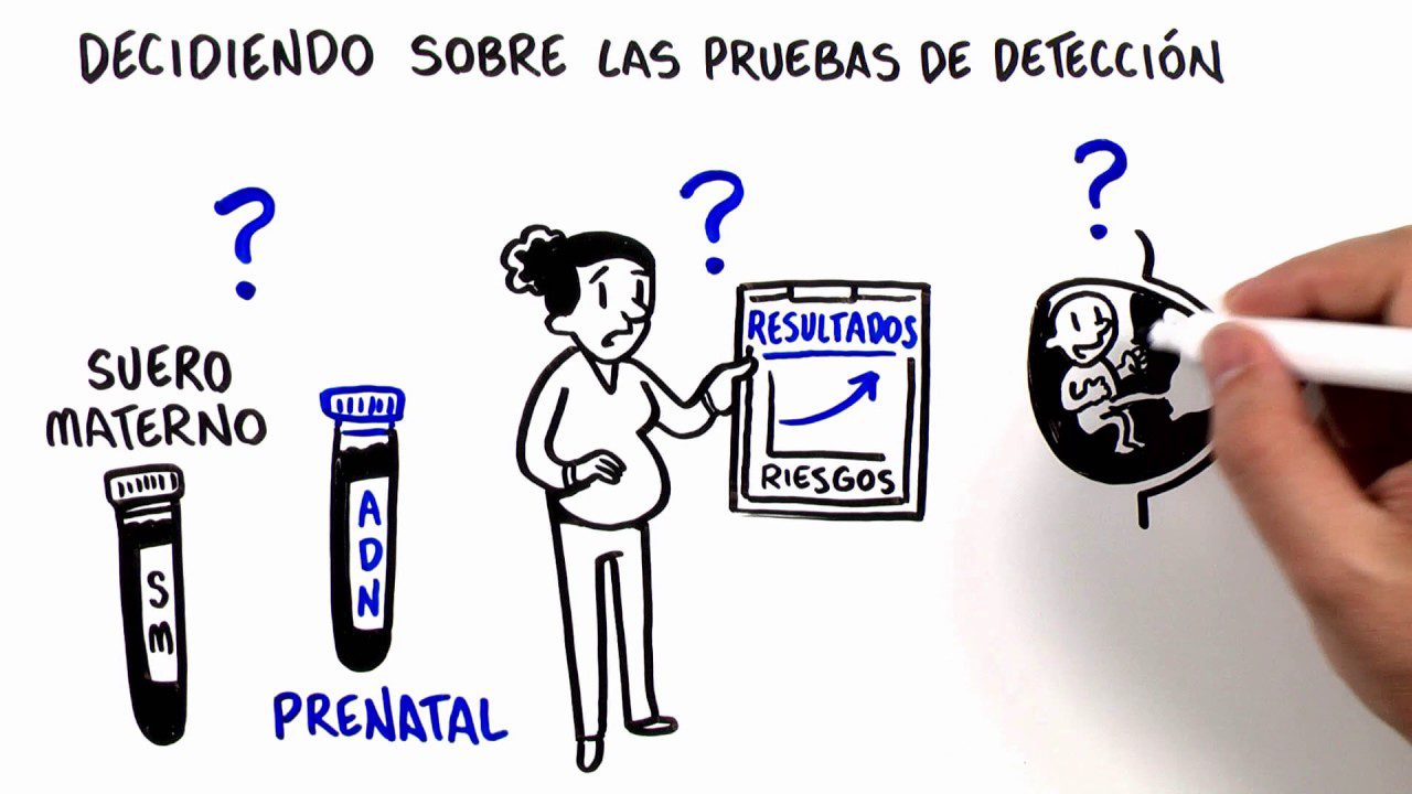 Todo sobre las pruebas de detección prenatal