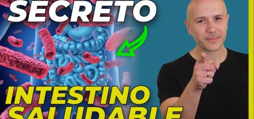 Alimentos-ricos-en-probioticos-para-mejorar-la-salud-intestinal | SoloSalud.net Alimentos ricos en probióticos para mejorar la salud intestinal