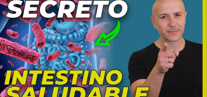 Alimentos ricos en probióticos para mejorar la salud intestinal