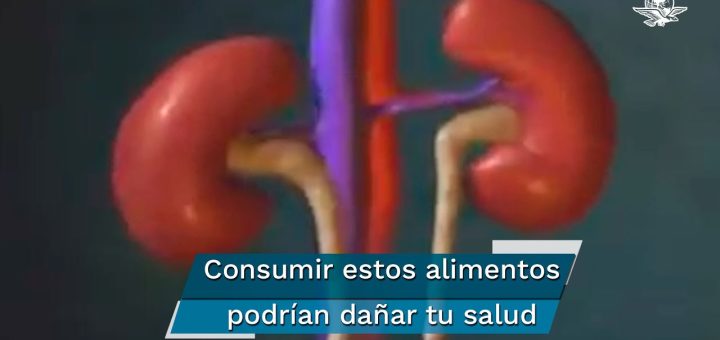Alimentos que ayudan a mantener la salud de los riñones