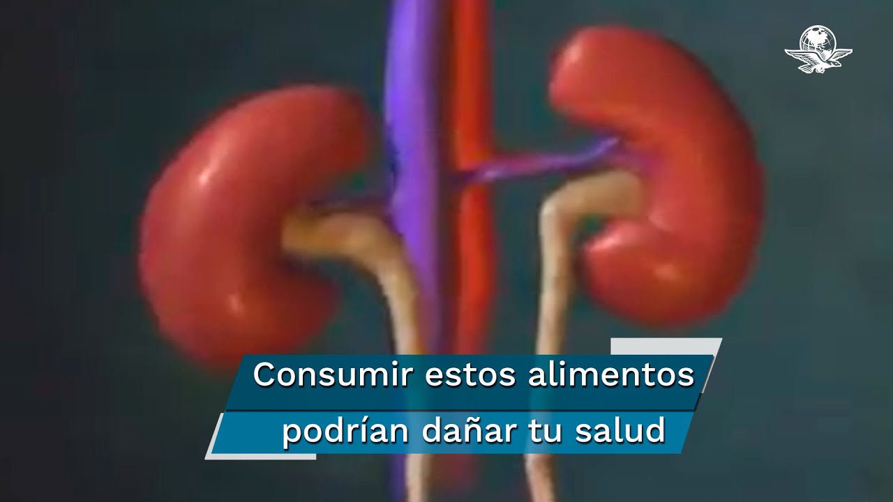 Alimentos que ayudan a mantener la salud de los riñones