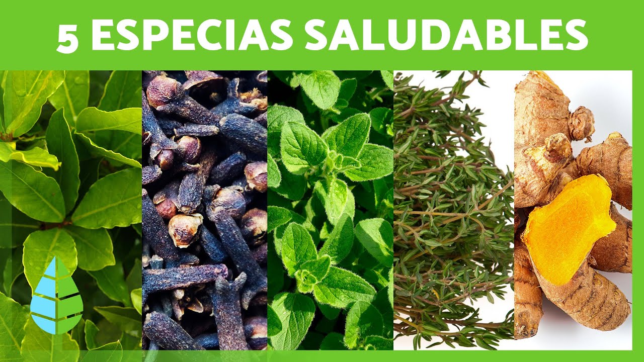 Beneficios de incluir hierbas medicinales en la dieta