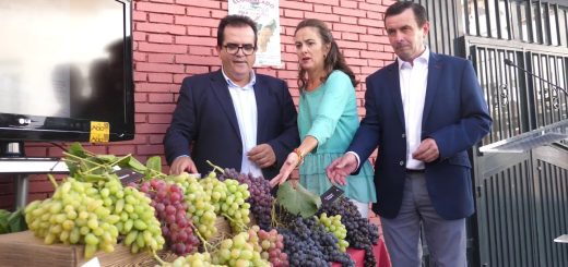 Centro de salud de Abrucena