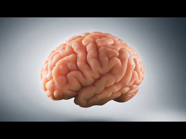 Cómo mejorar la función cognitiva con hábitos saludables