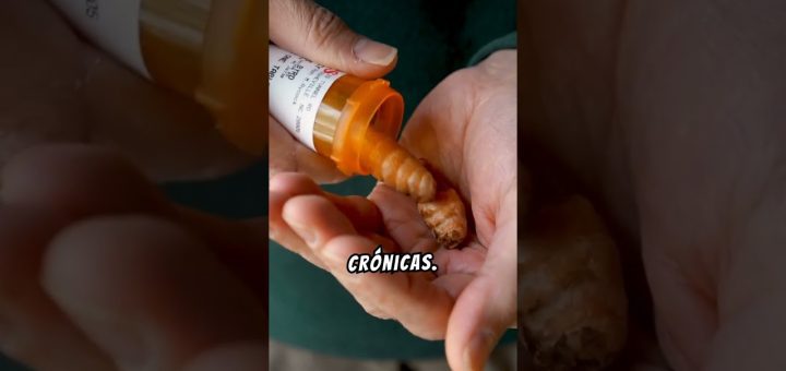 Dieta para mujeres que buscan mejorar su bienestar general