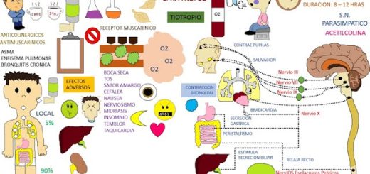 Ipratropio-Bromuro | SoloSalud.net Ipratropio Bromuro