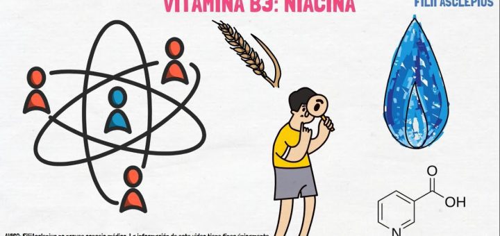 La importancia de la vitamina B3 para la salud ginecológica