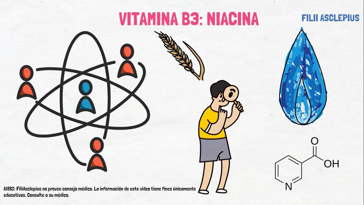 La importancia de la vitamina B3 para la salud ginecológica