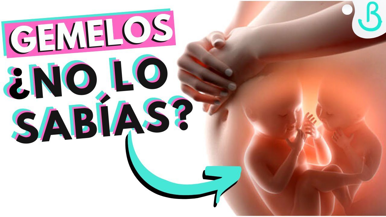 Todo sobre el seguimiento del embarazo gemelar