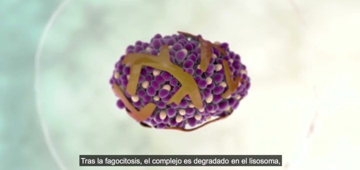 Carboximaltosa De Hierro