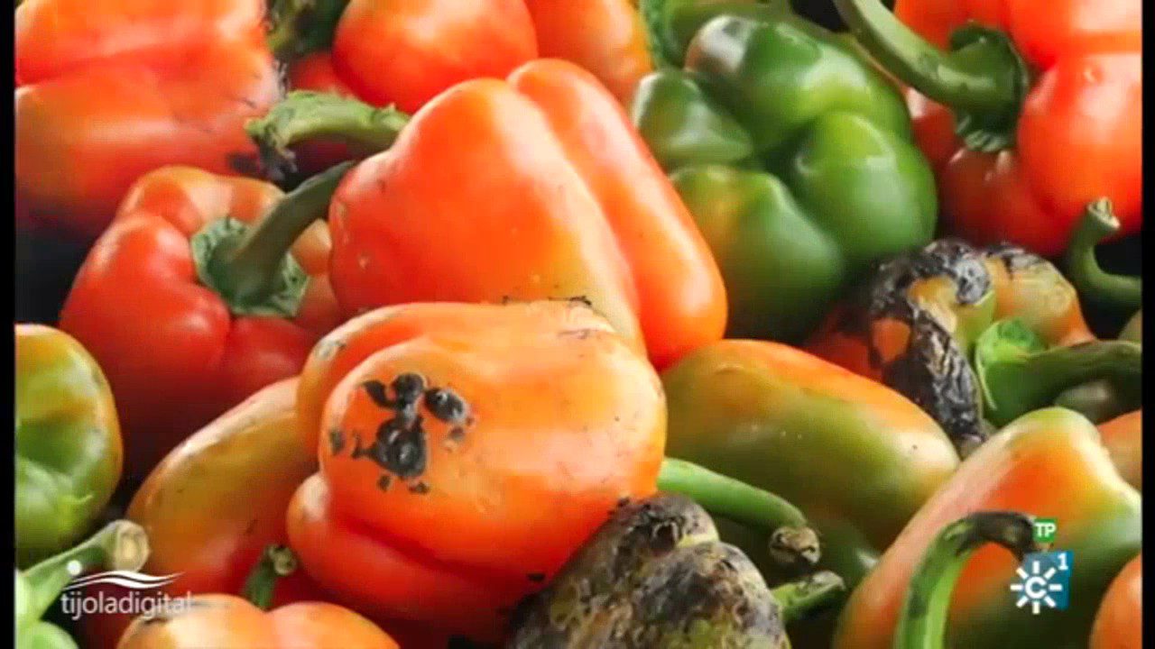 Centro de salud de Suflí