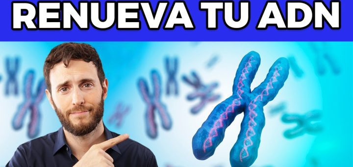 Cómo evitar el envejecimiento celular con la dieta