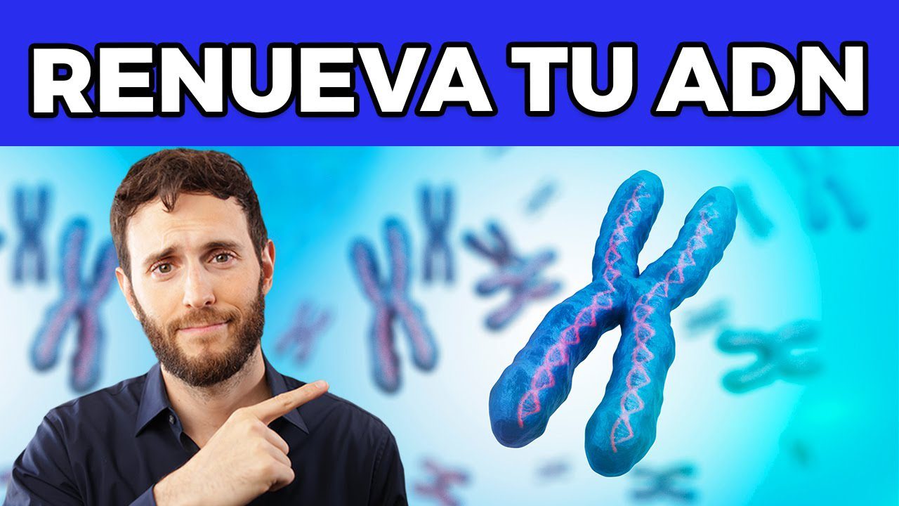 Cómo evitar el envejecimiento celular con la dieta