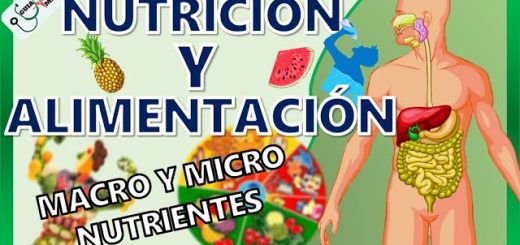 Como-mejorar-la-salud-en-general-con-una-dieta-enfocada-en-nutrientes | SoloSalud.net Cómo mejorar la salud en general con una dieta enfocada en nutrientes