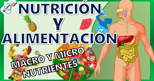 Cómo mejorar la salud en general con una dieta enfocada en nutrientes