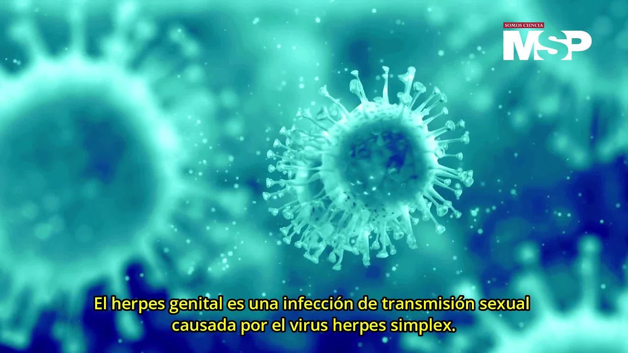 Cómo prevenir y tratar el herpes genital