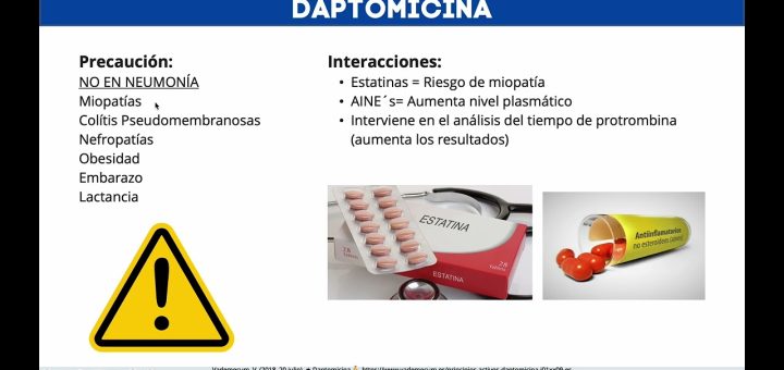 Daptomicina
