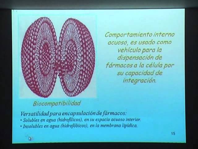 Doxorubicina liposomal