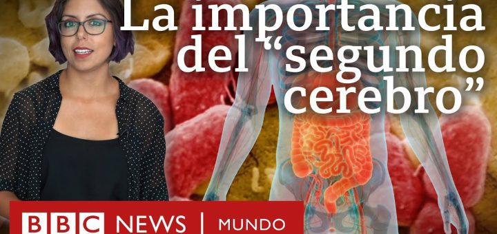 La importancia de la salud intestinal para el bienestar general