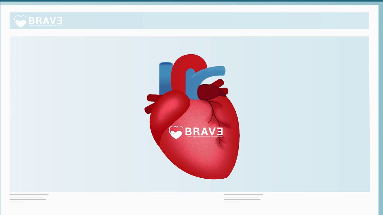 Medicina Regenerativa en Cardiología: Aplicaciones Innovadoras en la Recuperación Cardíaca