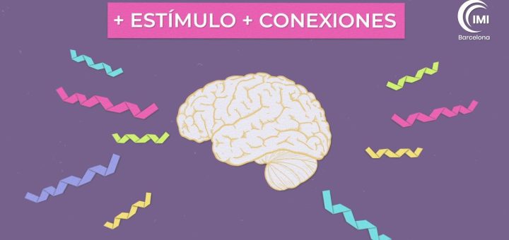 Neurociencia Pediátrica: Desafíos y Oportunidades en el Desarrollo Cognitivo de los Niños