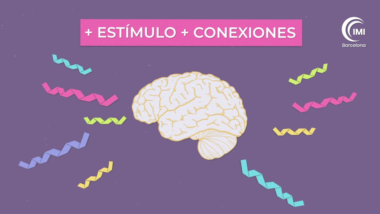 Neurociencia Pediátrica: Desafíos y Oportunidades en el Desarrollo Cognitivo de los Niños