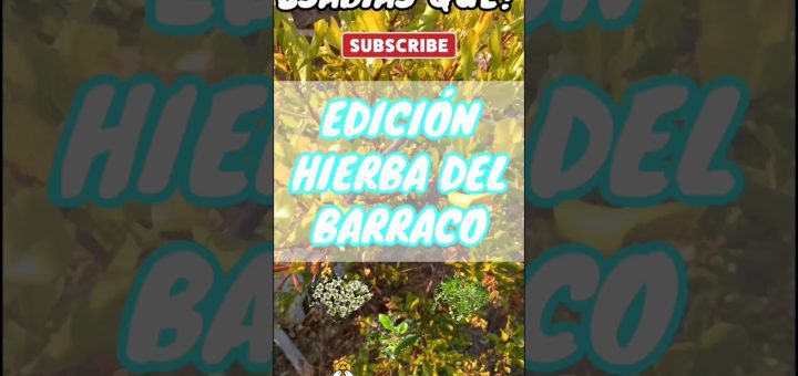 Centro de salud de Barraco