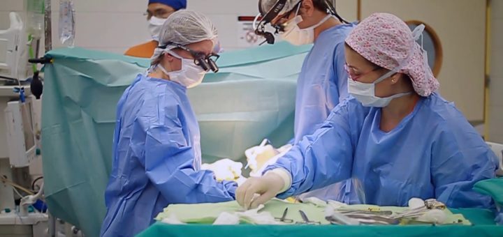 Cirugía Cardiovascular Pediátrica: Desafíos y Logros en el Tratamiento de Niños