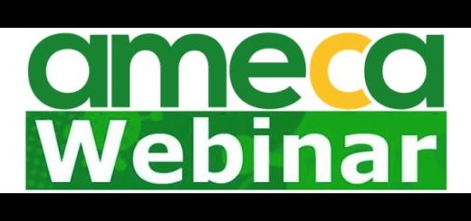 Como-optimizar-la-salud-general-con-una-dieta-rica-en-fitoquimicos | SoloSalud.net Cómo optimizar la salud general con una dieta rica en fitoquímicos