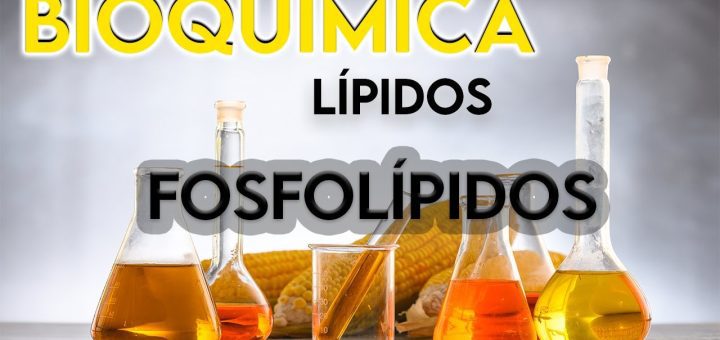 Fosfolípidos Naturales