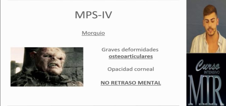 Laronidasa