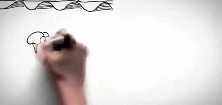Neurociencia del Dolor: Avances en la Comprensión y Tratamiento de Dolor Crónico