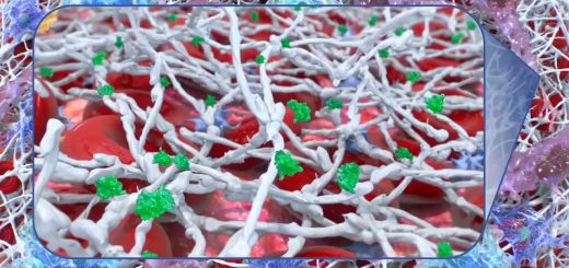 Sellante-De-Fibrina | SoloSalud.net Sellante De Fibrina