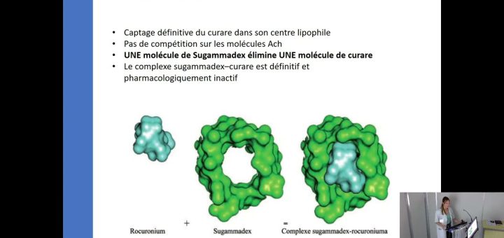 Sugammadex