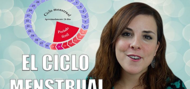 Todo sobre el ciclo menstrual y sus fases
