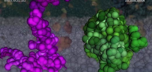 Venetoclax | SoloSalud.net Venetoclax