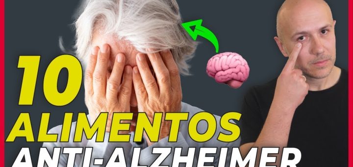 Alimentos que ayudan a mejorar la memoria y la concentración