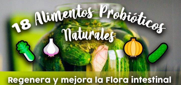 Cómo apoyar la salud del sistema digestivo con alimentos fermentados