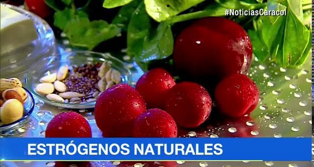 Alimentos que favorecen la salud reproductiva y hormonal