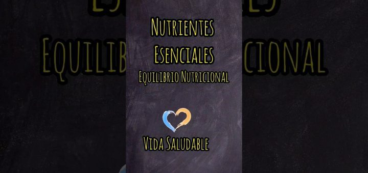 Alimentos que ayudan a mantener un equilibrio nutricional óptimo