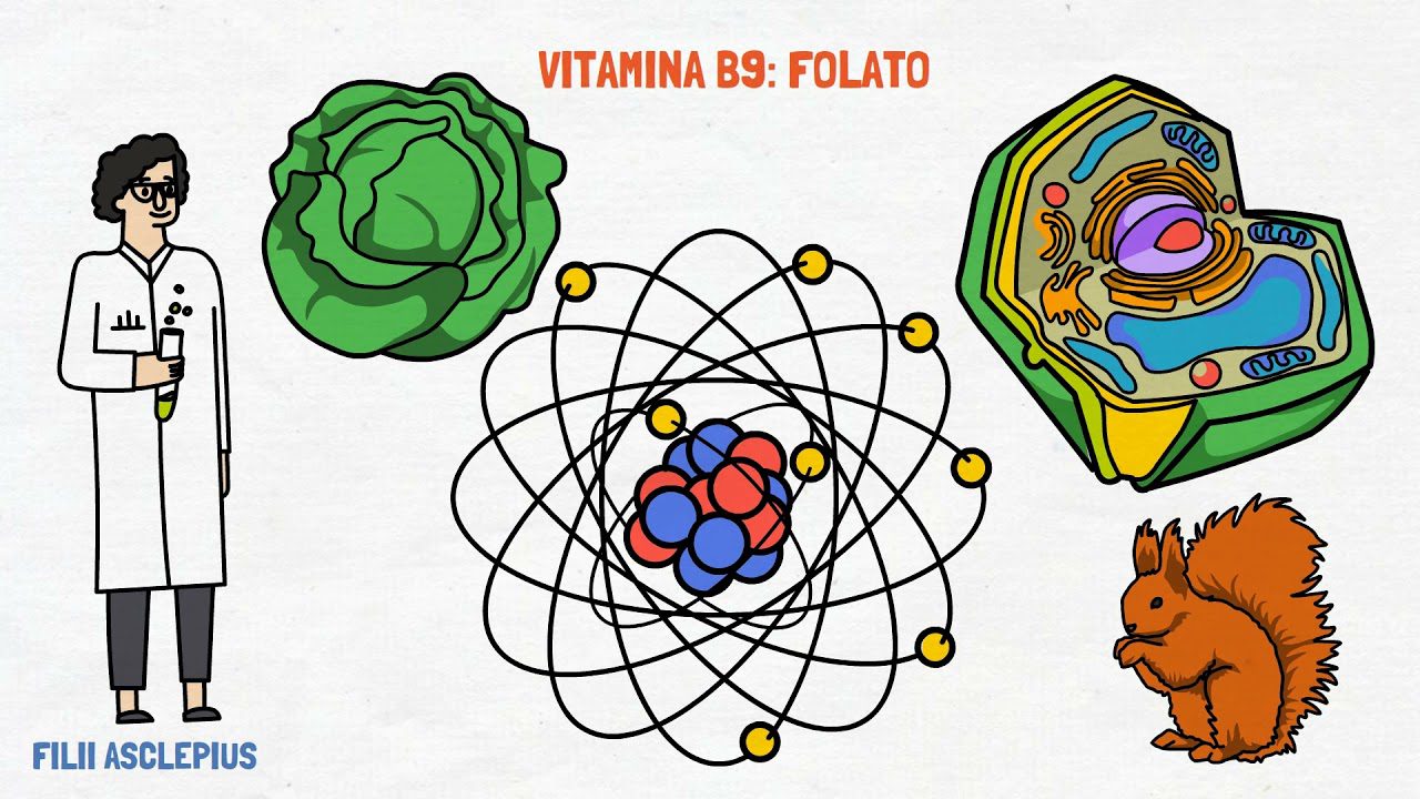 La importancia de la vitamina B9 para la salud reproductiva