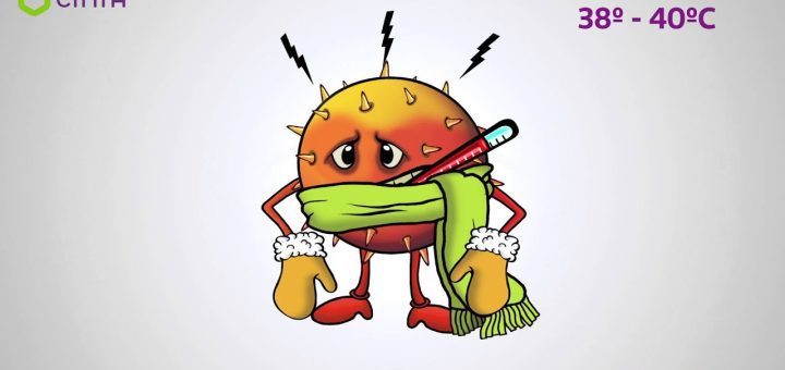 cómo se diferencian los síntomas de Cómo prevenir resfriados frecuentes en niños