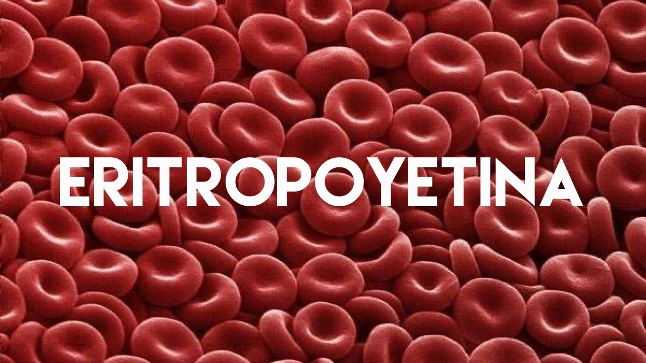 Eritropoyetina | SoloSalud.net Eritropoyetina