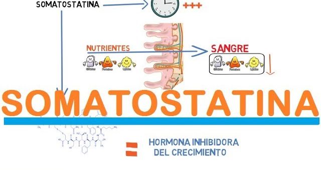 Somatostatina