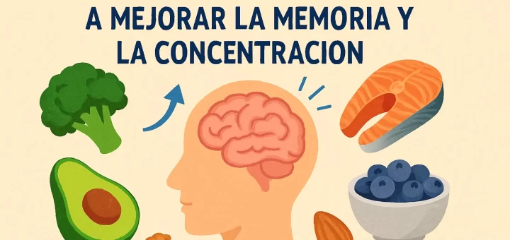 Alimentos que ayudan a mejorar la memoria y la concentración