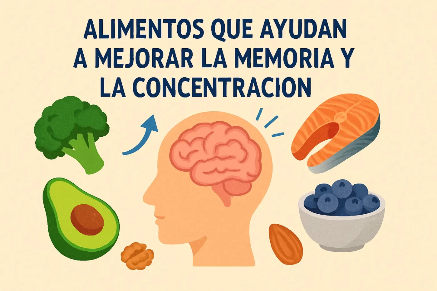 Alimentos-que-ayudan-a-mejorar-la-memoria-y-la-concentracion | SoloSalud.net Alimentos que ayudan a mejorar la memoria y la concentración